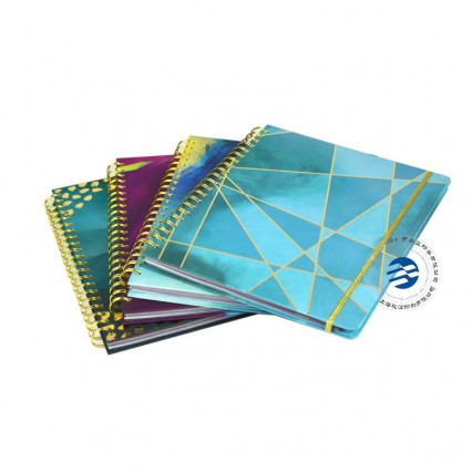 Gold Wire O Binding Daily Planner Notebook Foil Stamping Logo Elastic Gold Wire O Binding Daily Planner Notebook Foil Stamping Logo Elastic